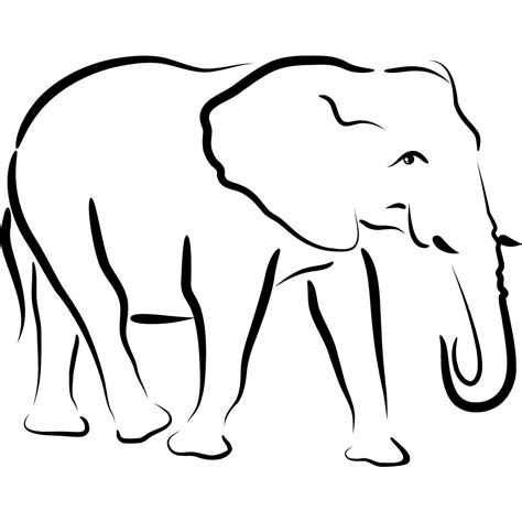 Elephant, Rickey | Elephant outline, Elephant drawing, Elephant template