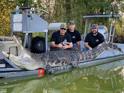 2 DAY FLORIDA GATOR/HOG HUNT COMBO FOR 1 HUNTER