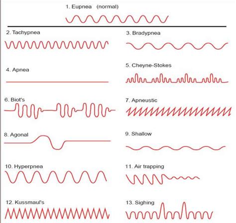 respiratory physiotherapy, patterns of respiration, abnormal breathing