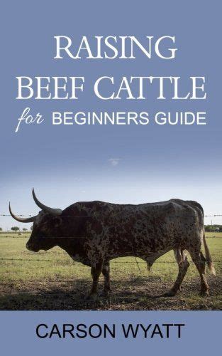 Cattle Raising Beginners Guide To Keeping Cows For Beef | Beef cattle ...