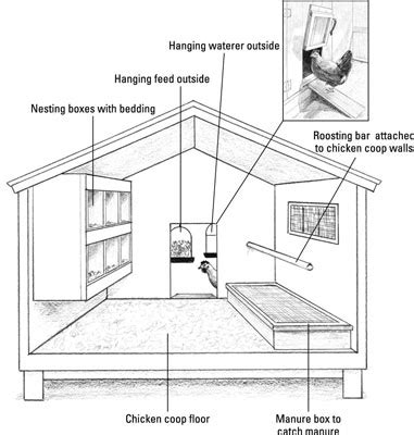 Easy Chicken Coop Plan For Cold Weather | chicken coop how to