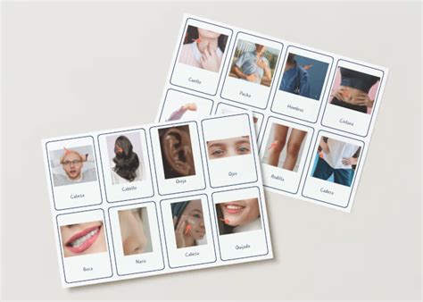 Flashcards body parts in Spanish | Teaching Resources