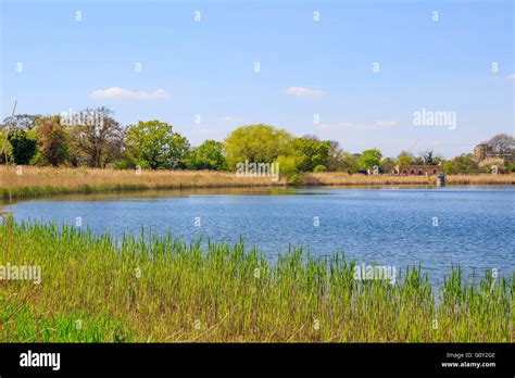 Woodberry wetlands nature reserve at Woodberry Down in London on a sunny day Stock Photo - Alamy