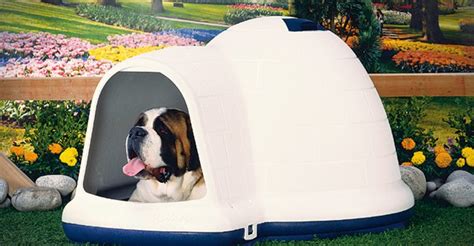 igloo dog house - pupsbest.com