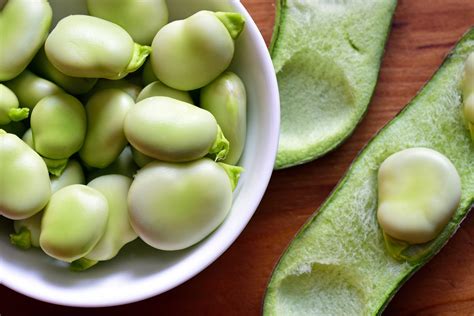 10 Impressive Health Benefits of Fava Beans