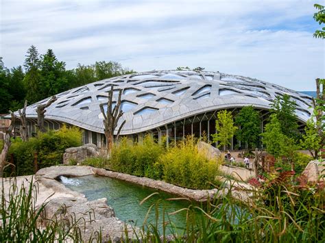 Zoo Zürich | Boomers Daily