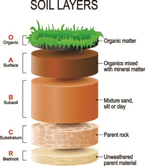 Organic Matter Management | Turf Dietitian