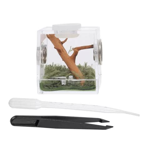 2 SETS REPTILES Holder Jumping Spider Breeding Box Acrylic Pet £8.99 - PicClick UK