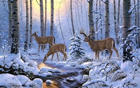 Free Wallpaper Deer in Snow - WallpaperSafari