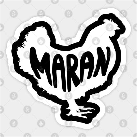 Maran Chicken Silhouette For Dark Colors - Chicken Lover - Sticker ...