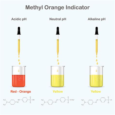 Ph Indicator Illustrations, Royalty-Free Vector Graphics & Clip Art - iStock