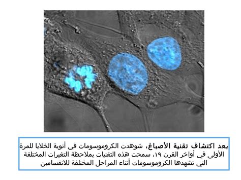 مبادئ علم الوراثة