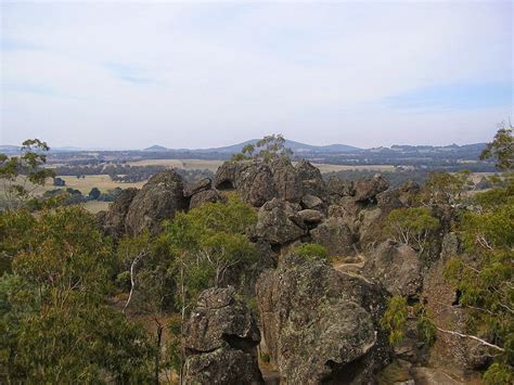 WineWalkabout: Wine but no Picnic at Hanging Rock