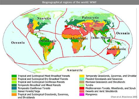 Biogeographical regions of the world