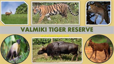 Valmiki Tiger Reserve - Learn UPSC