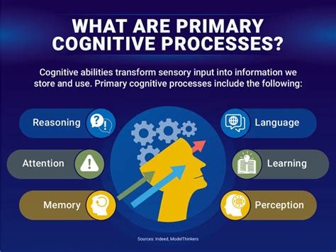 12 Cognitive Development Activities for Kids at Home Ashiana