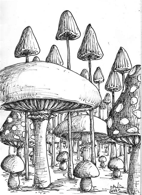 Pin by Janek Sz on Characters | Mushroom drawing, Drawings, Mushroom art