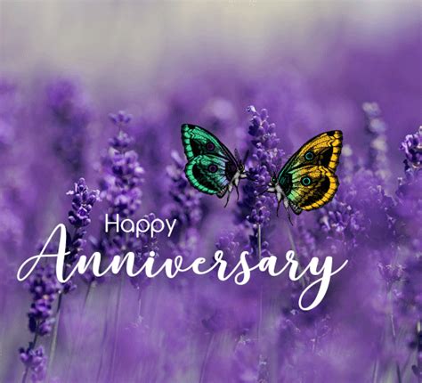 Shining Butterflies Happy Anniversary. Free Happy Anniversary eCards | 123 Greetings