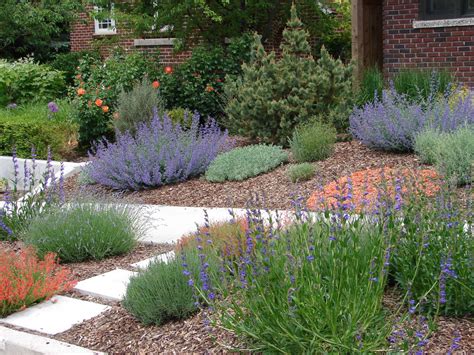 Xeriscaping Lewisville TX | Landscape Design Near Carrollton, Coppell ...