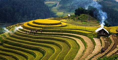 Travel guide: Mu Cang Chai - the most majestic terrace of Vietnam