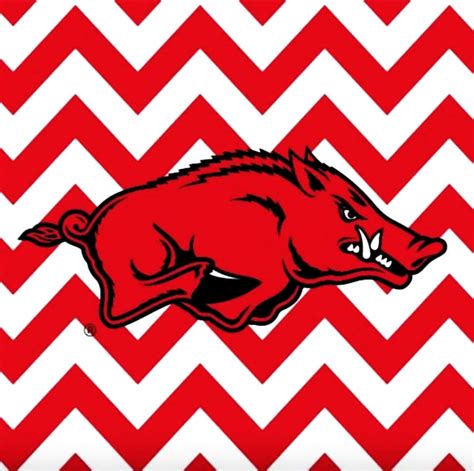 Download Celebrating Arkansas Razorbacks football Wallpaper ...