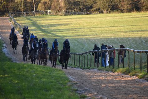 Cheltenham Stables Tour and Stay Offer | Sutton Hotel Collection