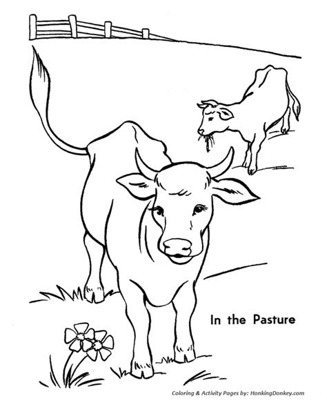 Cow Coloring Pages - Coloring Home