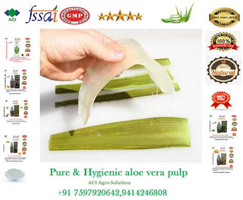 Aloe Vera Pulp, CARBO, Packaging Size: 50 KG at Rs 25/kg in Jaipur | ID: 2850964084491