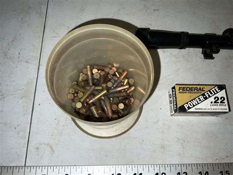 .22 cal ammo, scope - Legacy Auction Company