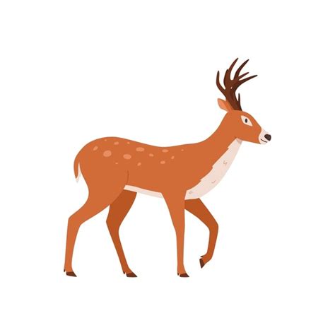 2+ Thousand Cartoon Deer Walking Royalty-Free Images, Stock Photos & Pictures | Shutterstock