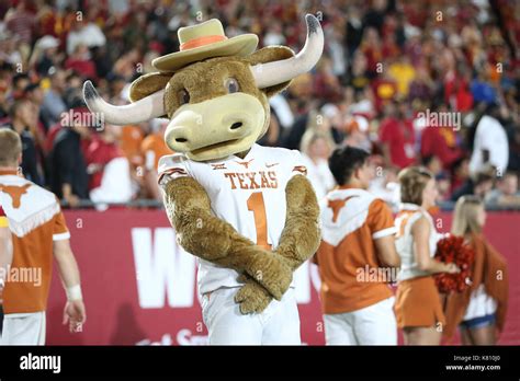 Texas longhorns mascot hi-res stock photography and images - Alamy