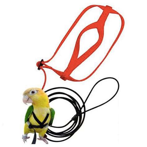 Anti Bite Flight Training Parrot Bird Wire Harness Set Harness Belt ...