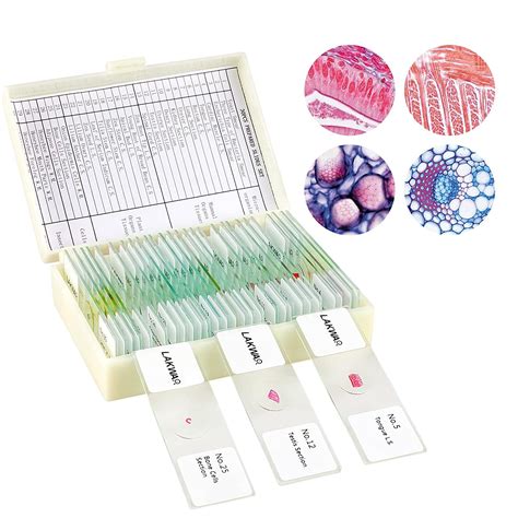 BEBANG STEM Science Kit: 30 Prepared Microscope Slides for Kids, Glass ...