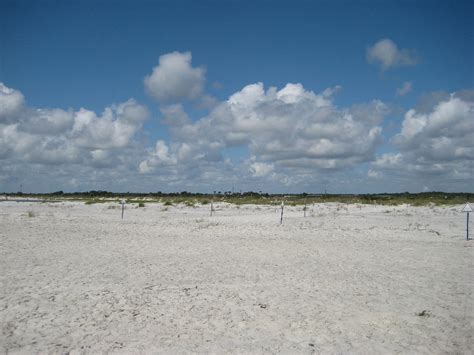 Little-Talbot-Island-State-Park-Jacksonville-FL-033