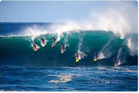 Waimea | Surfing, Surfing photos, Bondi beach