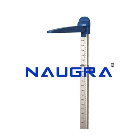 Height Measuring scale, Wall mounted Manufacturers, Suppliers and ...