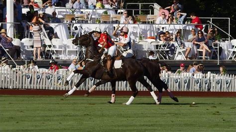 Polo in Newport – Corvette Club of Rhode Island