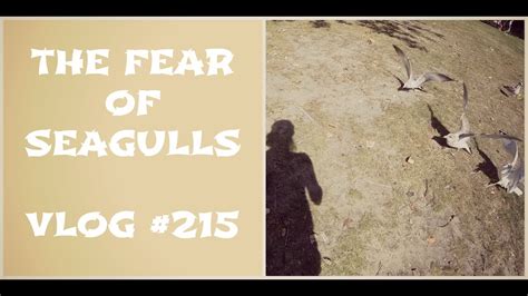 The Fear of Seagulls (Vlog 215) - YouTube