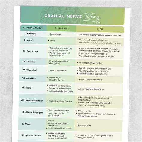 Cranial Nerves Chart