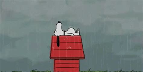 The popular Rainyday GIFs everyone's sharing