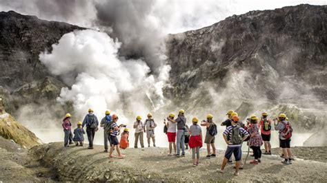 Live Marine Volcano Tour of White Island - Adult