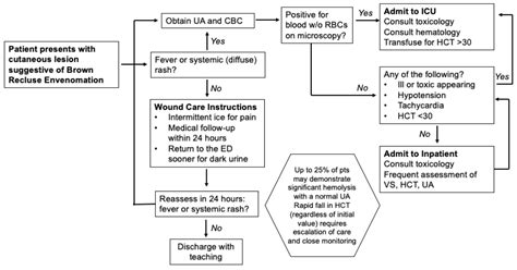 Brown Recluse Bites (Loxoscelism) - Internal Medicine Residency Handbook