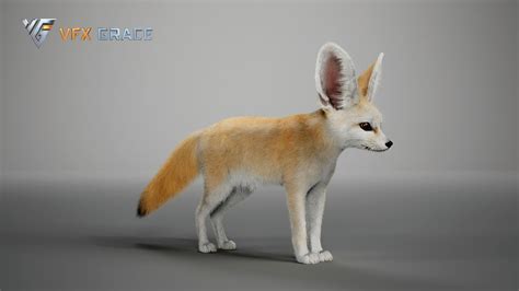 Fennec - UE Character Asset | VFX Grace