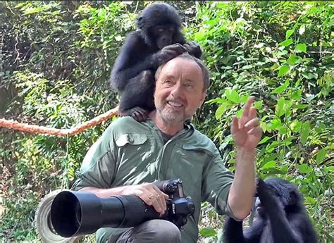 Check Out This Adorable Footage of Bonobo Chimps Playing with Wildlife ...