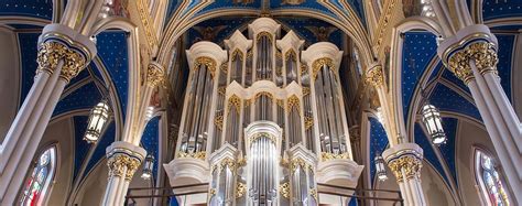Murdy Family Organ by the Numbers | Basilica Organ | Special Features | Notre Dame Magazine ...