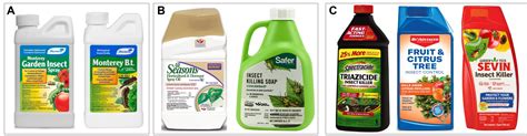 Choosing insecticides to manage insect pests in your home/backyard ...