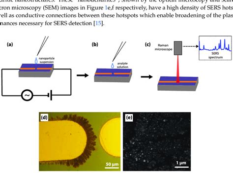 Preparation of the surface-enhanced Raman scattering (SERS) substrate... | Download Scientific ...