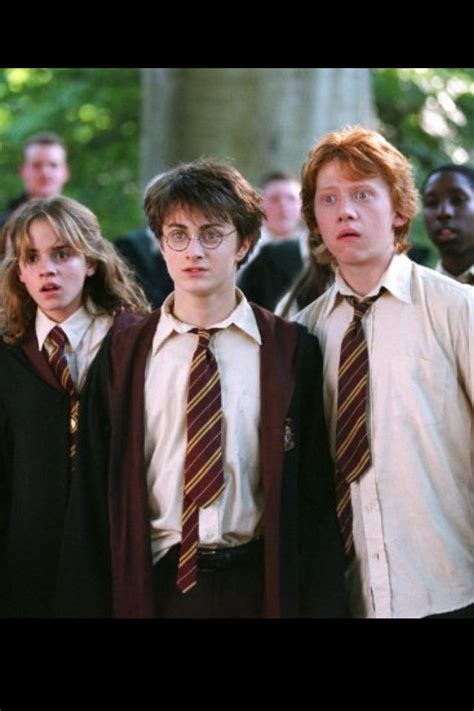 111 best images about The Golden Trio on Pinterest | Ron weasley ...