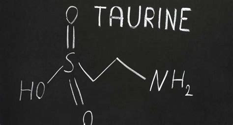 Unraveling the Potential of Taurine: Using Taurine Dosage for Anxiety - promindbuild.com