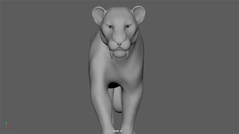 3D model Tiger rigged model VR / AR / low-poly | CGTrader